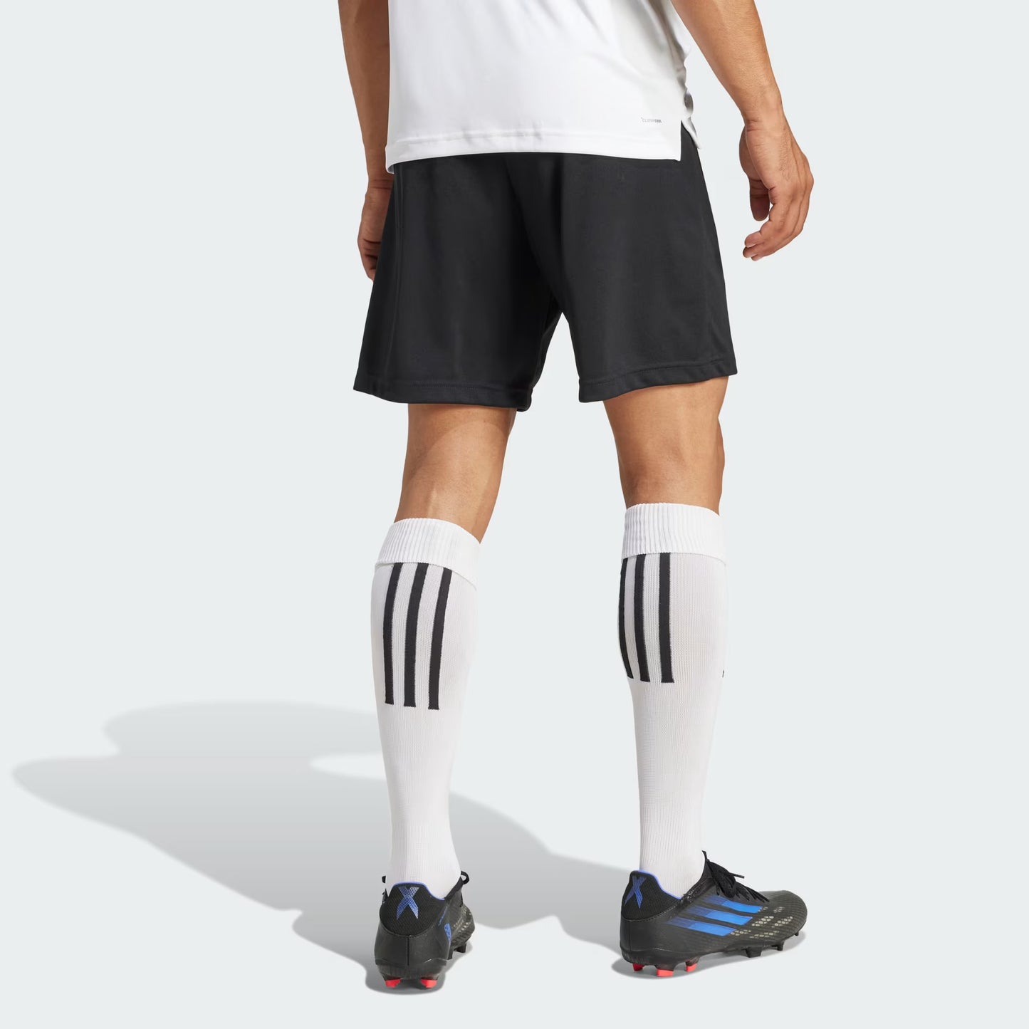 ENT22 TR SHO Mens Shorts-Black : M