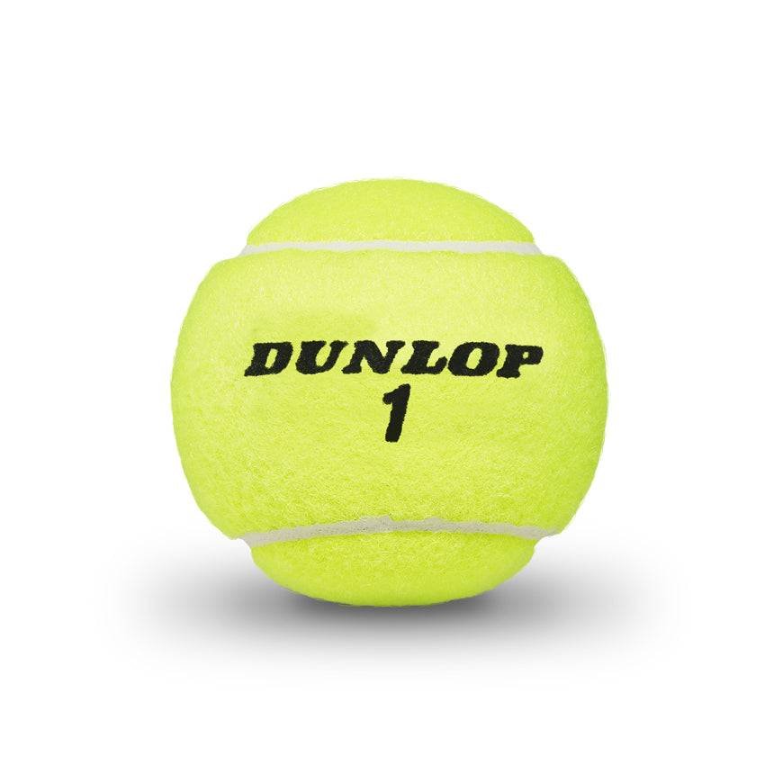 ATP Championship Balls