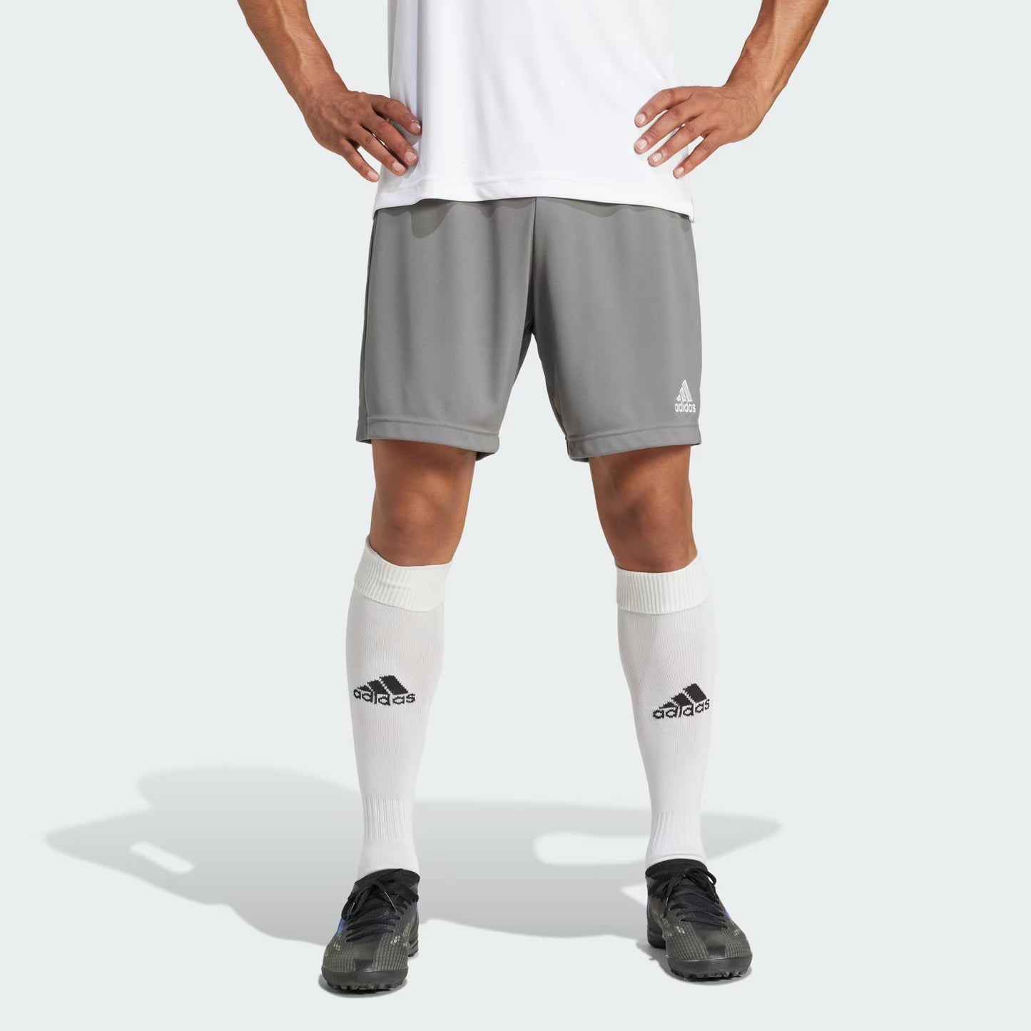 ENT22 SHO - Mens Shorts-Grey : M ^